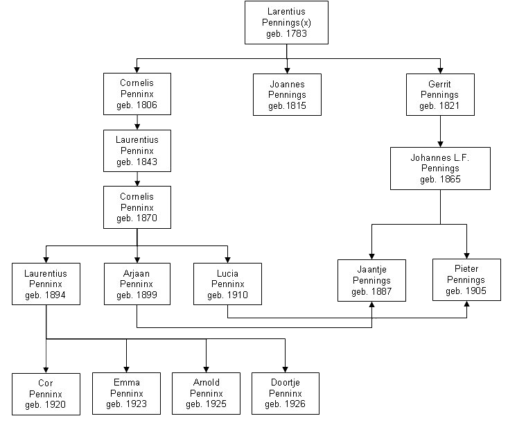 Het ontstaan van Penninx - Pennings